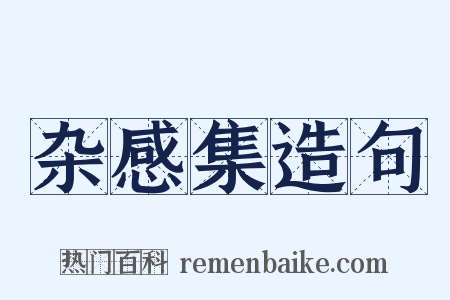 杂感集造句是什么意思的图片